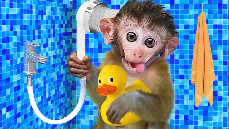 Monkey playing in wash room with ducks